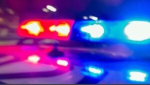 Laurie Schneider Bayville NJ Boating Accident, Death Obituary – Children Fatally Killed In Crash